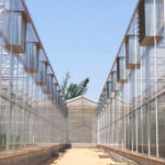 Greenhouse Design