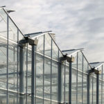 Greenhouse Design
