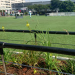 Landscape Architecture Rosebank