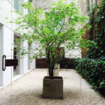 Landscape Architecture