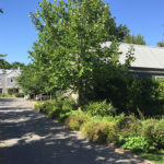 Landscape Architecture