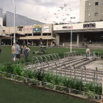 Landscape Architecture Rosebank