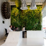 Vertical Garden Design