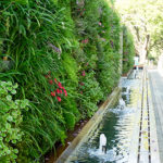 Vertical Garden at The Zone Rosebank