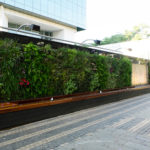 Vertical Garden at The Zone Rosebank