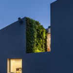 Vertical Garden Design