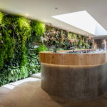 Vertical Garden Design