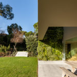 Vertical Garden Design