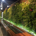 Vertical Garden at The Zone Rosebank