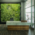 Organic Space Office