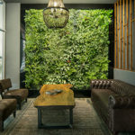 Organic Space Office