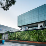 Vertical Garden @ The Zone, Rosebank