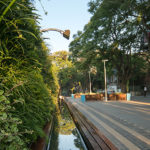 Vertical Garden @ The Zone, Rosebank
