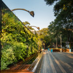 Vertical Garden @ The Zone, Rosebank